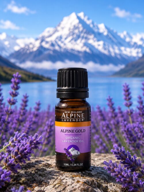 Alpine Gold Lavender Pure Essential Oil - Certified Organic