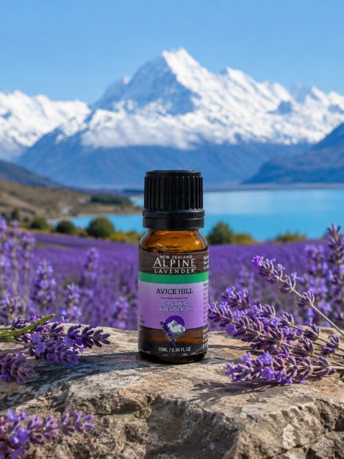 Avice Hill Lavender Pure Essential Oil - Certified Organic
